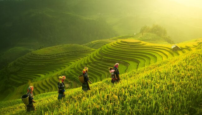 Premium Walking & Hiking in Vietnam