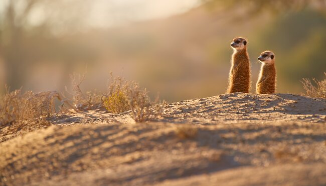 Namibia komfortabel erwandern