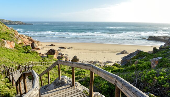 Südafrika - die Highlights der Kapregion und Garden Route erwandern