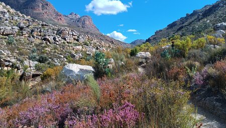 Südafrika auf verborgenen Wegen entdecken