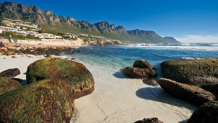 Südafrikas Highlights erleben