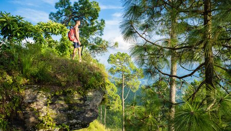 Indiens Highlights erleben