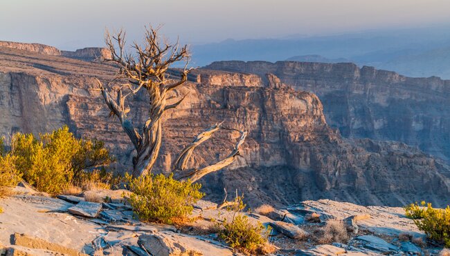 Oman gemütlich erwandern
