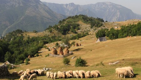 Albanien & Montenegro – Höhepunkte Peaks of the Balkans