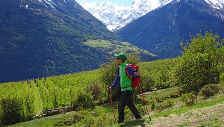 Via Claudia Panorama Wanderer