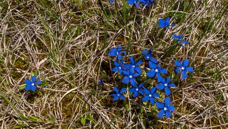 Monte Bondone kulinarisch erwandern - Ruhe, Genuss & Natur