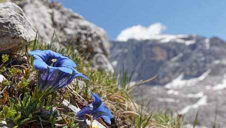 Die Durchquerung der Dolomiten mit Hotelkomfort