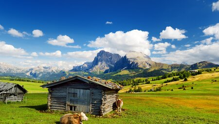 Südtirol - die Seiser Alm gemütlich erwandern