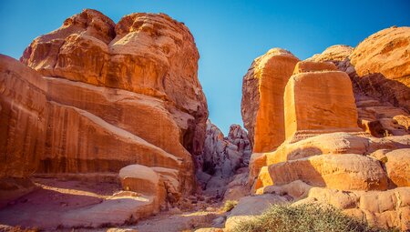 Jordanien Rock Rose Trail