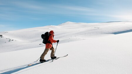 Norwegen - Skitouren in den Lyngen Alpen und rund um Tromsø