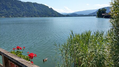 Kärntner See
