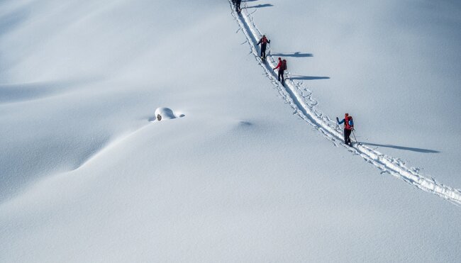 Skitouren zu den Pitztaler Gletschergipfeln mit Wildspitze (3.772 m)