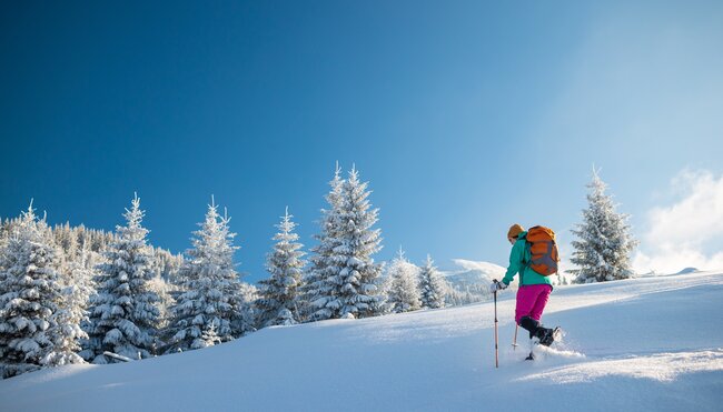 Winter- & Schneeschuhwandern am Mieminger Plateau