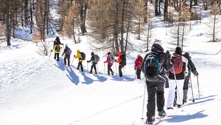 Winter- & Schneeschuhwandern am Mieminger Plateau