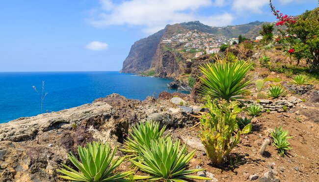 Madeira - von Quinta zu Quinta wandern