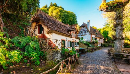 Madeira - der Levada Trek