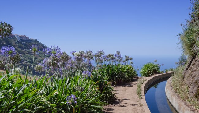 Blumenbestandene Levada auf Madeira
