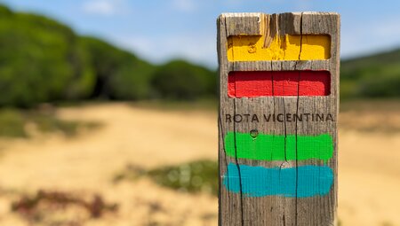 Best of Rota Vicentina
