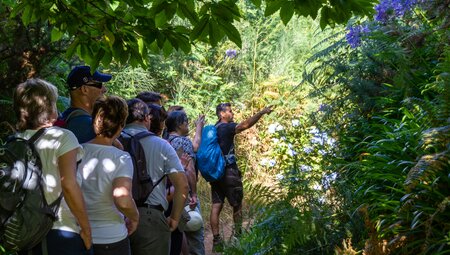 Madeira Wandergruppe