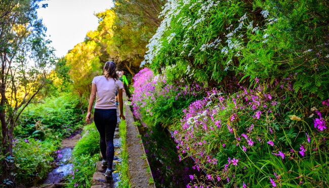 Wanderin an der blumenbestandenen Levada