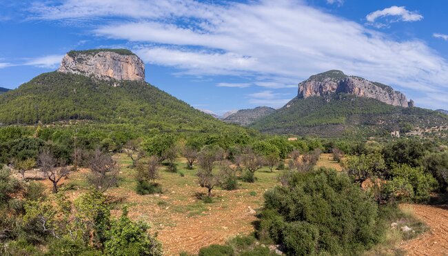 Jahreswechsel auf dem ländlichen Mallorca
