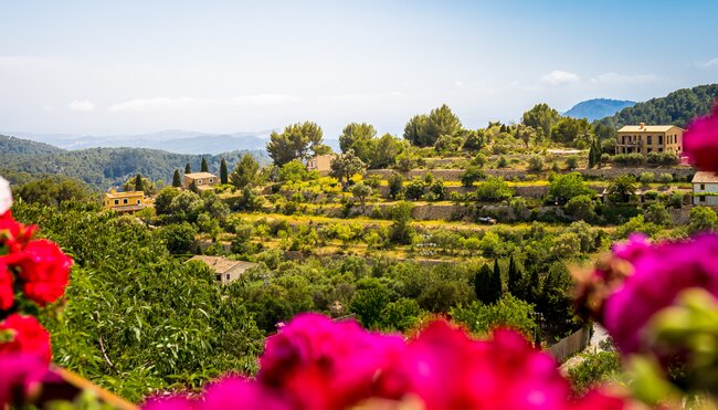 Mallorca in der stillen Jahreszeit erwandern
