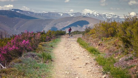 Unterwegs in der Nähe von Leon