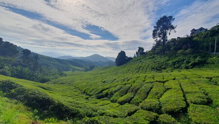 Malaysias Highlights erleben