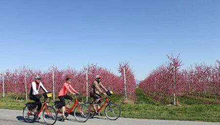 Piemont Rundfahrt - Im Garten Eden Italiens