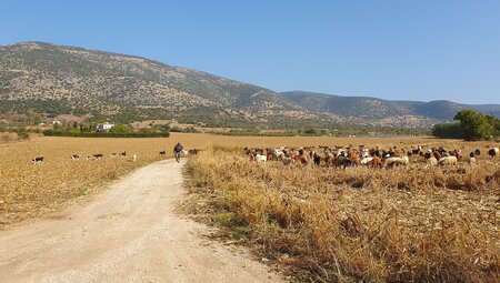 Via Egnatia: Thessaloniki-Kavala Pilgerreise