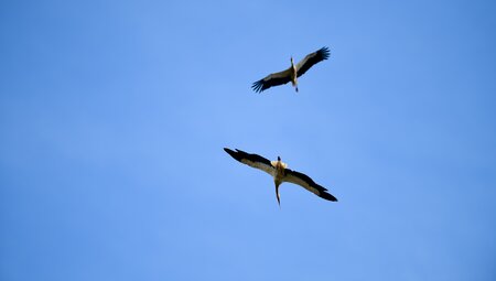 Geführte Radreise - An der wilden Algarve