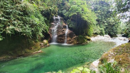 Vom Hochland in den Dschungel