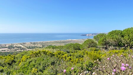 Porto - Lissabon: 12 Tage Atlantik, Tradition und Romantik