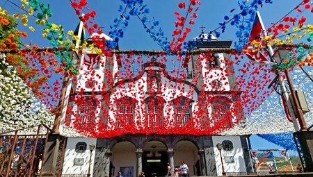 Madeira Rundfahrt - Blumenwelt und Küstenland