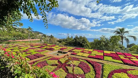 Madeira Rundfahrt - Blumenwelt und Küstenland