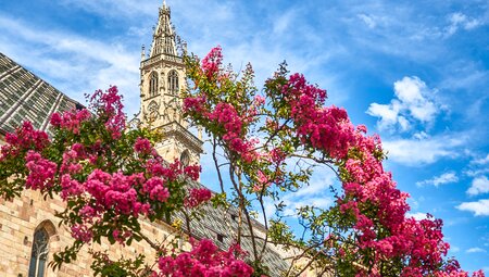 Etschradweg: Bozen - Verona - An der Etsch zu Romeo & Julia