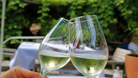 Pfälzer Radrundfahrt - Durch Weinreben und die Rheinebene – SPORTLICH