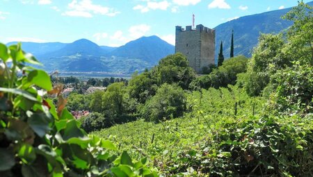 St. Moritz - Bozen 8 Tage