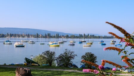 Bodensee - Königssee: Seen, Schlösser und Panoramablicke