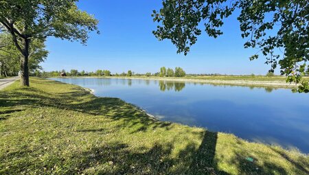 Neusiedlersee Rundfahrt - Wein und mehr im Dreiländereck