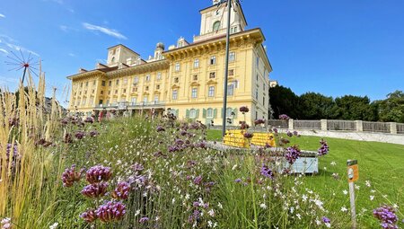 Neusiedlersee Rundfahrt - Wein und mehr im Dreiländereck