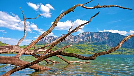 Zehn-Seen-Rundfahrt - mit Charme 8 Tage