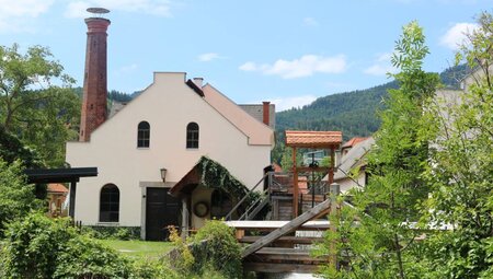 Mur-Radweg - Vom Enzian zum Riesling