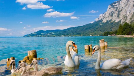 Zehn Seen-Rundfahrt 5 Tage Seenwelt des Salzkammergutes