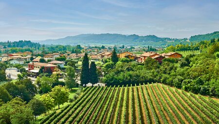 Innsbruck-Verona: Vom Goldenen Dachl zu Romeo & Julia