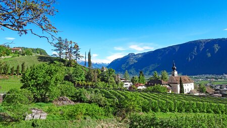 Innsbruck - Gardasee Obst und Wein am Etsch-Radweg