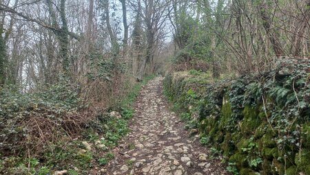 Venetien - Wanderung entlang der Prosecco-Straße