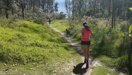 Quitos Vulkane – Trailrunning & Hiking Abenteuer auf die umliegenden Berge