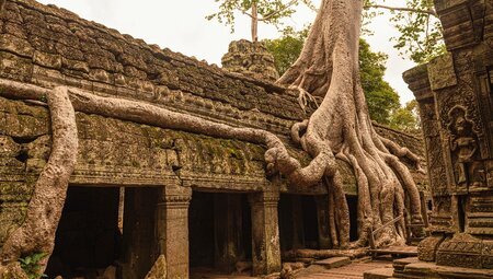 Die Highlights von Vietnam & Kambodscha in 18 Tagen entdecken