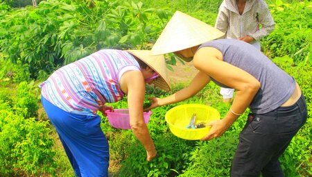 Vietnam- die Highlights von Norden nach Süden in 15 Tagen